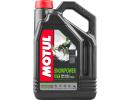 MOTUL (4L) SNOWPOWER 2T МАСЛО МОТОРНОЕ API TC, ISO-L-EGD, JASO FD-033MOT068